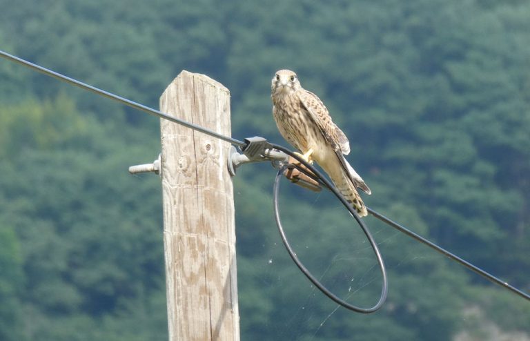 Landpartie__0003_P1060910