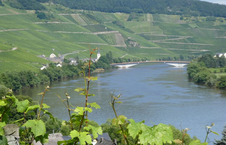 Landpartie__0004_P1060864