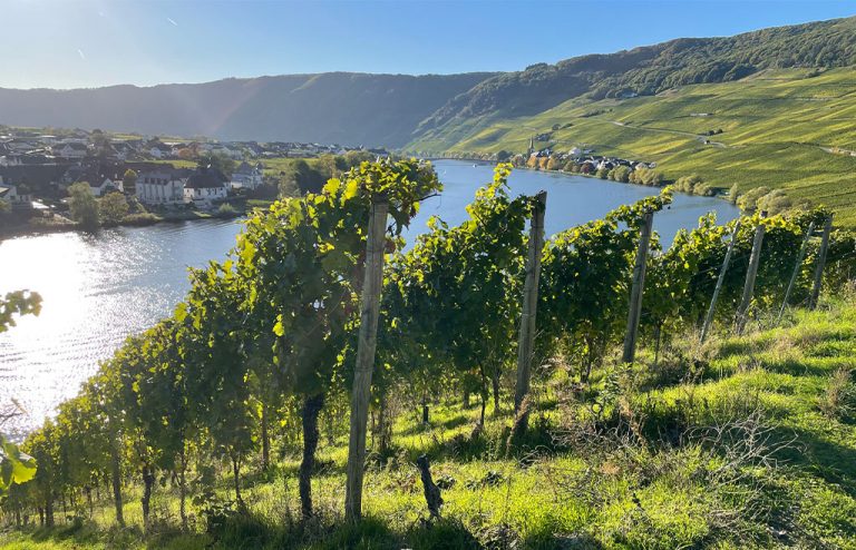 Landpartie__0007_IMG_2836