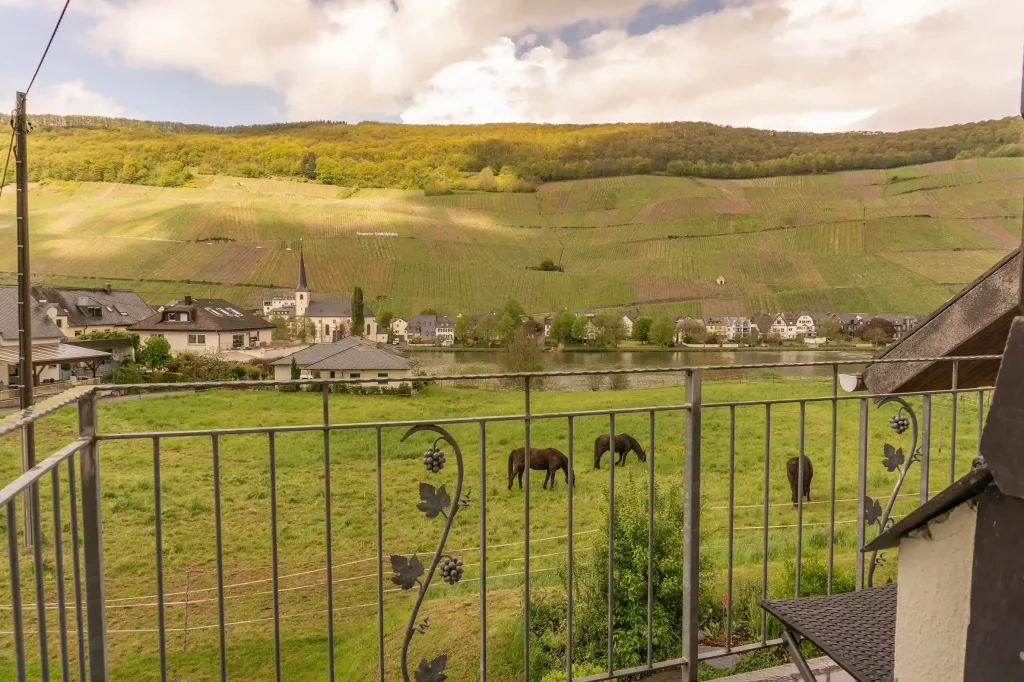 Blick zur Mosel